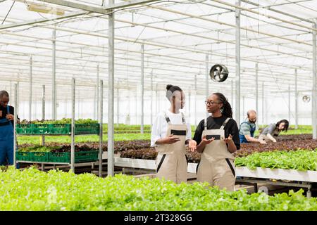 Teamwork afroamerikanische Landarbeiter diskutieren die beste Methode, um gesunde Pflanzen ohne Pestizide ökologisch zu ernten. Umweltbewusstes, modernes Gewächshaus ohne Abfall Stockfoto