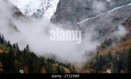 Der Nebel fällt schnell in die Schlucht. Kreativ. Wunderschöne Berglandschaft in Wolken, Zeitraffer-Effekt. Stockfoto