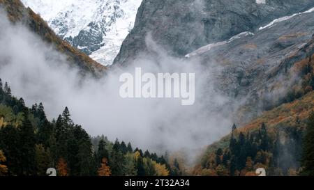 Der Nebel fällt schnell in die Schlucht. Kreativ. Wunderschöne Berglandschaft in Wolken, Zeitraffer-Effekt. Stockfoto