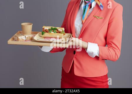 Großaufnahme über moderne Flugbegleiterin asiatische Frau in rotem Rock, Jacke und Hut Uniform mit einem Tablett Essen isoliert auf grau. Stockfoto