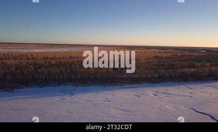 Trockenes braunes Gras auf einer Winterwiese. Clip. Luftaufnahme des blauen klaren Himmels und des goldenen Feldes. Stockfoto