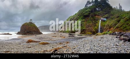 Agate Jäger am Short Beach an der Nordküste Oregons. Der Strand ist am besten für seine Edelsteine aus Achaten, jaspis und Zeolithen bekannt. Stockfoto