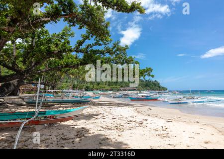 Traditionelle philippinische banca-Boote mit Stützauslegern sitzen unter Palmen am tropischen Strand Stockfoto