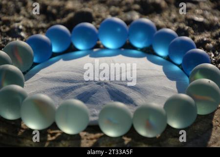 Originalkunst von mir. Weißer Sand Dollar mit klarem und blauem Meeresglas Marmor. Stockfoto
