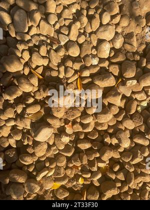 Landschaft im Freien Schottergestein füllen die Hintergrundstruktur aus nächster Nähe Stockfoto