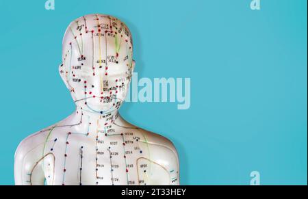 Nahaufnahme einer Schaufensterpuppe mit Meridianen und Akupunkturpunkten auf blauem Hintergrund. Stockfoto