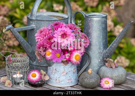 Arrangement mit einem Strauß aus rosa Dahlien, Kosmos- und strohblumen in Vintage-Kanne und Zink-Gießkannen Stockfoto