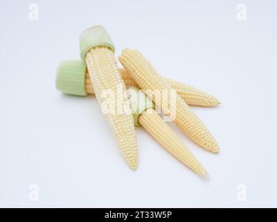 Geschältes Babymais isoliert auf weißem Hintergrund Stockfoto