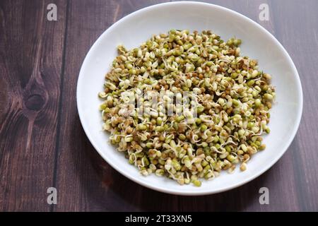 Gekeimte Moong-Bohnen. Proteinreicher Salat. Gesunde Snacks. Linsensalat Mit Keimlingen. Gemischt mit Zwiebeln, Tomaten, grünem Chili und Koriander. Stockfoto