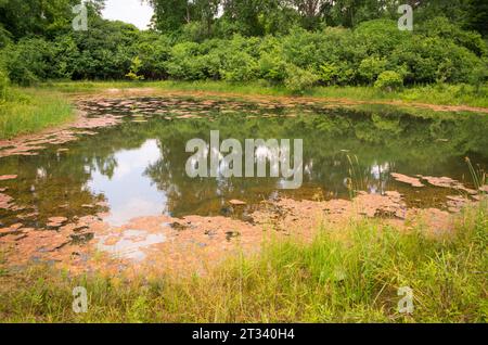 Der Harriett Tubman National Historical Park in Auburn New York Stockfoto