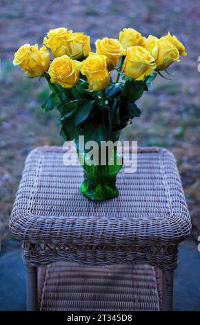 Grüne Vase mit einem Dutzend schönen gelben Rosen auf einem Korbtisch an einem Herbsttag in Taylors Falls, Minnesota, USA. Stockfoto