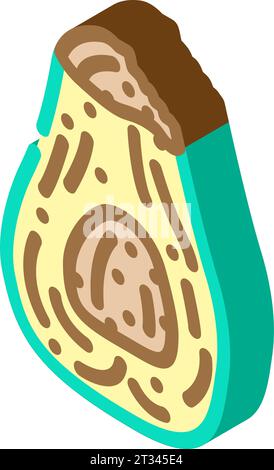 Avocados Rotten Food isometrische Icon Vektor Illustration Stock Vektor