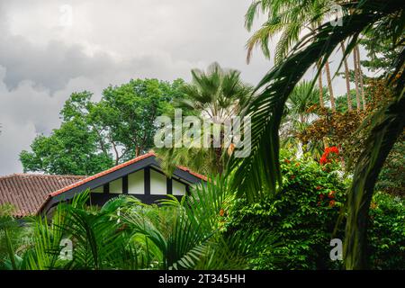 Singapur Botanischer Garten Stockfoto