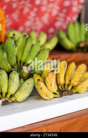 Kleine thailändische Bananen, grüne und gelbe frische Bananen auf dem Markt. Pisang Awak Bananen in Thailand Stockfoto