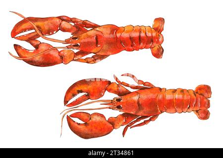 Aquarell Meeresfrüchte Illustration, roter Hummer isoliert auf weißem Hintergrund. Handgezeichnete Illustration in realistischem Stil Stockfoto