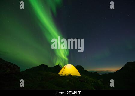 Aurora borealis über dem Zelt bei Nacht, Moskenesoya, Lofoten, Norwegen Stockfoto