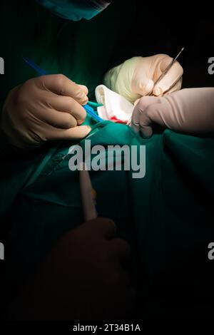 Nahaufnahme der Hände eines Chirurgen, der einen Hautschnitt in die Haut eines Patienten macht. Stockfoto