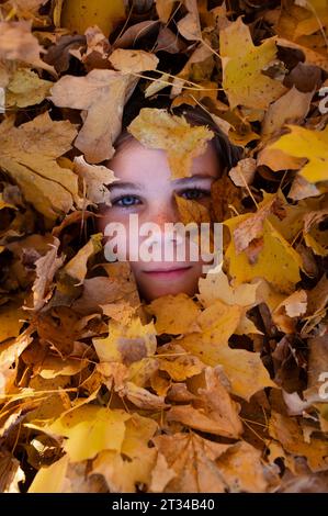 Teenager mit blauen Augen, die unter gelben Ahornblättern hervorschauen Stockfoto