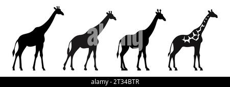 Set aus Giraffen-Silhouetten. Giraffe isoliert Stock Vektor