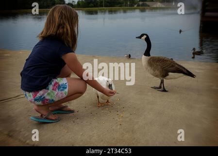 Kleines Mädchen, das Enten und Gänse am Teich füttert Stockfoto