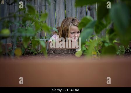 Ein junges Mädchen, das grüne Pflanzen im Garten ansieht Stockfoto