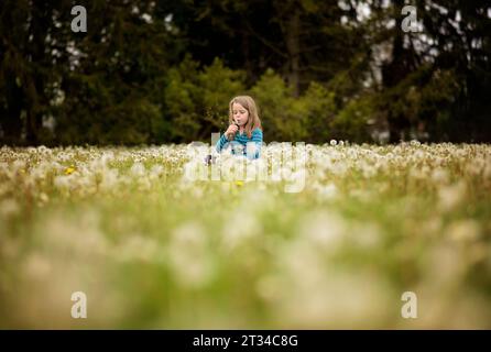 Ein kleines Mädchen, das sich einen Löwenzahn in einem Blumenfeld wünscht Stockfoto