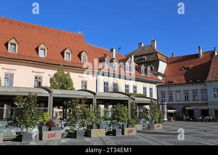 Amber Caffé, Piața Mare (Großer Platz), Sibiu, Kreis Sibiu, Sibiu, Siebenbürgen, Rumänien, Europa Stockfoto