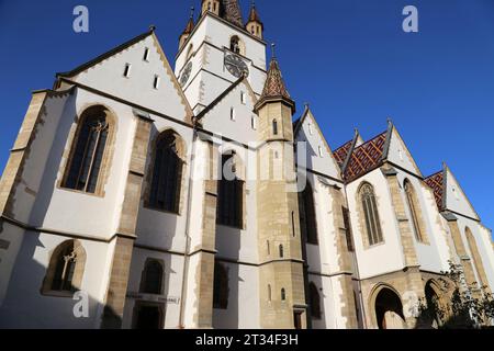 Catedrală Evanghelică Luterană Sfânta Maria (evangelische Kathedrale der Heiligen Maria), Piața Huet, Sibiu, Kreis Sibiu, Sibiu, Siebenbürgen, Rumänien Stockfoto