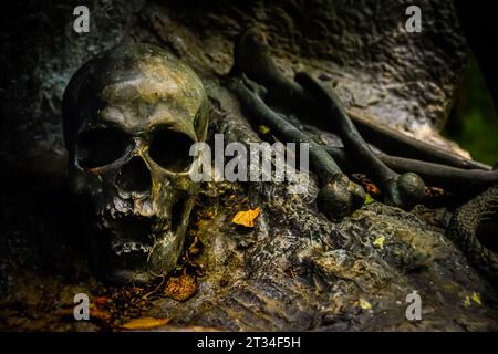 Schädelskulpturen aus Stein von Handwerkern aus Mahabalipuram, Indien, bevölkern heute einen Skulpturenpark im County Wicklow, Irland. Stockfoto