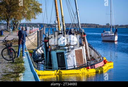 Wieck, Deutschland. Oktober 2023. Der ehemalige Fischschneider Nordland III, erbaut 1944, liegt nach der Sturmflut an der Ostseeküste teilweise vor dem Stauwerk versunken. Die Schäden werden entlang der Ostseeküste dokumentiert und erste Reparaturen und Wiederaufbauarbeiten sind im Gange. Quelle: Jens Büttner/dpa/Alamy Live News Stockfoto