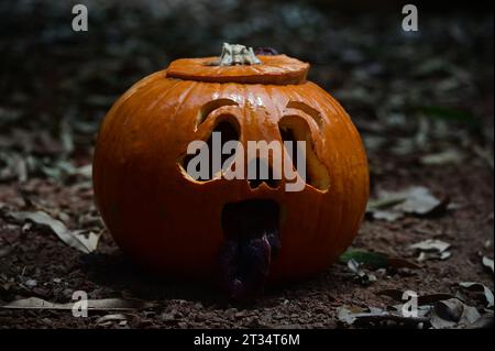 London, Großbritannien. Oktober 2023. Halloween Kürbis Spielen Sie den Spook-takularen Spaß im Zoo im London Zoo, Outer Circle, Regent's Park, London, Großbritannien. Quelle: Siehe Li/Picture Capital/Alamy Live News Stockfoto