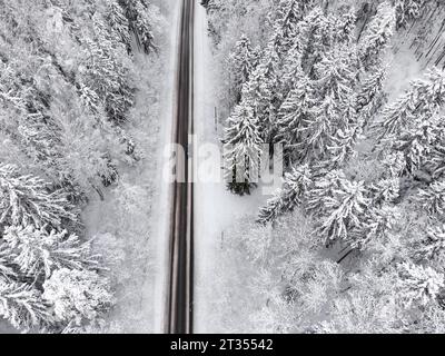 Blick von einer Drohne auf ein Auto, das auf einer Asphaltstraße inmitten eines wunderschönen schneebedeckten Waldes fährt. Stockfoto
