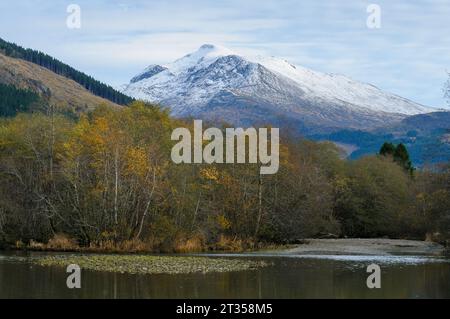 Herbstliche Bäume am Fluss und hohe schneebedeckte Berge Stockfoto