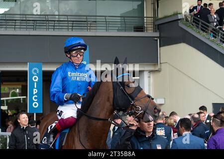 BILDER ABLEGEN. Oktober 2023. In der heutigen Presse wurde berichtet, dass Frankie Dettori morgen, 24. Oktober 2023, vom Whip Review Committee der BHA untersucht werden könnte, nachdem er mit Trawlerman in Ascot gefahren ist. Wenn er gegen die Regeln verstoßen würde, würde er am 7. November eine Suspendierung beginnen, was bedeutet, dass er das Fahren im Melbourne Cup in Australien verpassen könnte. Ascot, Berkshire, Großbritannien. Oktober 2023. Jockey Frankie Dettori fährt mit Horse Trawlerman auf die Rennstrecke von Ascot, bevor er den QIPCO British Champions Long Distance Cup beim QIPCO British Champions Day auf der Ascot Racecourse gewinnt. Traine Stockfoto