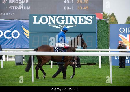 BILDER ABLEGEN. Oktober 2023. In der heutigen Presse wurde berichtet, dass Frankie Dettori morgen, 24. Oktober 2023, vom Whip Review Committee der BHA untersucht werden könnte, nachdem er mit Trawlerman in Ascot gefahren ist. Wenn er gegen die Regeln verstoßen würde, würde er am 7. November eine Suspendierung beginnen, was bedeutet, dass er das Fahren im Melbourne Cup in Australien verpassen könnte. Ascot, Berkshire, Großbritannien. Oktober 2023. Jockey Frankie Dettori fährt mit Horse Trawlerman auf die Rennstrecke von Ascot, bevor er den QIPCO British Champions Long Distance Cup beim QIPCO British Champions Day auf der Ascot Racecourse gewinnt. Traine Stockfoto