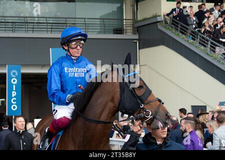 BILDER ABLEGEN. Oktober 2023. In der heutigen Presse wurde berichtet, dass Frankie Dettori morgen, 24. Oktober 2023, vom Whip Review Committee der BHA untersucht werden könnte, nachdem er mit Trawlerman in Ascot gefahren ist. Wenn er gegen die Regeln verstoßen würde, würde er am 7. November eine Suspendierung beginnen, was bedeutet, dass er das Fahren im Melbourne Cup in Australien verpassen könnte. Ascot, Berkshire, Großbritannien. Oktober 2023. Jockey Frankie Dettori fährt mit Horse Trawlerman auf die Rennstrecke von Ascot, bevor er den QIPCO British Champions Long Distance Cup beim QIPCO British Champions Day auf der Ascot Racecourse gewinnt. Traine Stockfoto