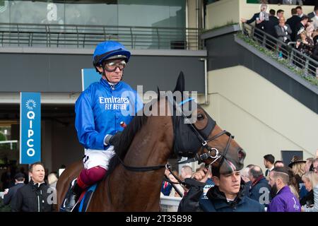 BILDER ABLEGEN. Oktober 2023. In der heutigen Presse wurde berichtet, dass Frankie Dettori morgen, 24. Oktober 2023, vom Whip Review Committee der BHA untersucht werden könnte, nachdem er mit Trawlerman in Ascot gefahren ist. Wenn er gegen die Regeln verstoßen würde, würde er am 7. November eine Suspendierung beginnen, was bedeutet, dass er das Fahren im Melbourne Cup in Australien verpassen könnte. Ascot, Berkshire, Großbritannien. Oktober 2023. Jockey Frankie Dettori fährt mit Horse Trawlerman auf die Rennstrecke von Ascot, bevor er den QIPCO British Champions Long Distance Cup beim QIPCO British Champions Day auf der Ascot Racecourse gewinnt. Traine Stockfoto