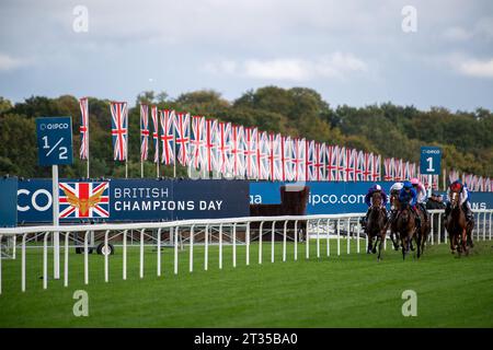 BILDER ABLEGEN. Oktober 2023. In der heutigen Presse wurde berichtet, dass Frankie Dettori morgen, 24. Oktober 2023, vom Whip Review Committee der BHA untersucht werden könnte, nachdem er mit Trawlerman in Ascot gefahren ist. Wenn er gegen die Regeln verstoßen würde, würde er am 7. November eine Suspendierung beginnen, was bedeutet, dass er das Fahren im Melbourne Cup in Australien verpassen könnte. Ascot, Berkshire, Großbritannien. Oktober 2023. Jockey Frankie Dettori auf Horse Trawlerman übernimmt die Führung in der ersten Meile, bevor er den QIPCO British Champions Long Distance Cup beim QIPCO British Champions Day auf der Ascot Racecourse gewann. Trainer Joh Stockfoto