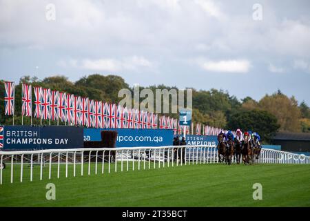 BILDER ABLEGEN. Oktober 2023. In der heutigen Presse wurde berichtet, dass Frankie Dettori morgen, 24. Oktober 2023, vom Whip Review Committee der BHA untersucht werden könnte, nachdem er mit Trawlerman in Ascot gefahren ist. Wenn er gegen die Regeln verstoßen würde, würde er am 7. November eine Suspendierung beginnen, was bedeutet, dass er das Fahren im Melbourne Cup in Australien verpassen könnte. Ascot, Berkshire, Großbritannien. Oktober 2023. Jockey Frankie Dettori auf Horse Trawlerman übernimmt die Führung in der ersten Meile, bevor er den QIPCO British Champions Long Distance Cup beim QIPCO British Champions Day auf der Ascot Racecourse gewann. Trainer Joh Stockfoto