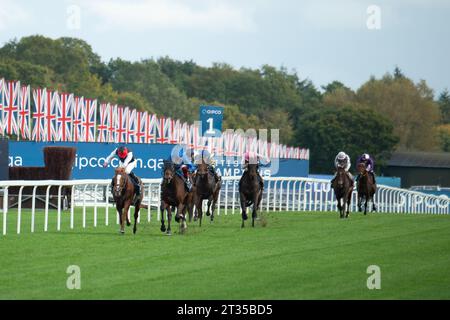 BILDER ABLEGEN. Oktober 2023. In der heutigen Presse wurde berichtet, dass Frankie Dettori morgen, 24. Oktober 2023, vom Whip Review Committee der BHA untersucht werden könnte, nachdem er mit Trawlerman in Ascot gefahren ist. Wenn er gegen die Regeln verstoßen würde, würde er am 7. November eine Suspendierung beginnen, was bedeutet, dass er das Fahren im Melbourne Cup in Australien verpassen könnte. Ascot, Berkshire, Großbritannien. Oktober 2023. Jockey Frankie Dettori auf Horse Trawlerman (R) gewinnt den QIPCO British Champions Long Distance Cup beim QIPCO British Champions Day auf der Ascot Racecourse. Trainer John & Thady Gosden Newmarket. Eigentümer Godol Stockfoto