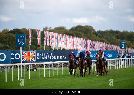 BILDER ABLEGEN. Oktober 2023. In der heutigen Presse wurde berichtet, dass Frankie Dettori morgen, 24. Oktober 2023, vom Whip Review Committee der BHA untersucht werden könnte, nachdem er mit Trawlerman in Ascot gefahren ist. Wenn er gegen die Regeln verstoßen würde, würde er am 7. November eine Suspendierung beginnen, was bedeutet, dass er das Fahren im Melbourne Cup in Australien verpassen könnte. Ascot, Berkshire, Großbritannien. Oktober 2023. Jockey Frankie Dettori auf Horse Trawlerman übernimmt die Führung in der ersten Meile, bevor er den QIPCO British Champions Long Distance Cup beim QIPCO British Champions Day auf der Ascot Racecourse gewann. Trainer Joh Stockfoto