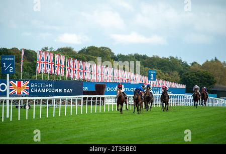 BILDER ABLEGEN. Oktober 2023. In der heutigen Presse wurde berichtet, dass Frankie Dettori morgen, 24. Oktober 2023, vom Whip Review Committee der BHA untersucht werden könnte, nachdem er mit Trawlerman in Ascot gefahren ist. Wenn er gegen die Regeln verstoßen würde, würde er am 7. November eine Suspendierung beginnen, was bedeutet, dass er das Fahren im Melbourne Cup in Australien verpassen könnte. Ascot, Berkshire, Großbritannien. Oktober 2023. Jockey Frankie Dettori auf Horse Trawlerman (R) gewinnt den QIPCO British Champions Long Distance Cup beim QIPCO British Champions Day auf der Ascot Racecourse. Trainer John & Thady Gosden Newmarket. Eigentümer Godol Stockfoto