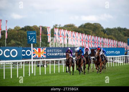 BILDER ABLEGEN. Oktober 2023. In der heutigen Presse wurde berichtet, dass Frankie Dettori morgen, 24. Oktober 2023, vom Whip Review Committee der BHA untersucht werden könnte, nachdem er mit Trawlerman in Ascot gefahren ist. Wenn er gegen die Regeln verstoßen würde, würde er am 7. November eine Suspendierung beginnen, was bedeutet, dass er das Fahren im Melbourne Cup in Australien verpassen könnte. Ascot, Berkshire, Großbritannien. Oktober 2023. Jockey Frankie Dettori auf Horse Trawlerman übernimmt die Führung in der ersten Meile, bevor er den QIPCO British Champions Long Distance Cup beim QIPCO British Champions Day auf der Ascot Racecourse gewann. Trainer Joh Stockfoto