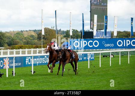 BILDER ABLEGEN. Oktober 2023. In der heutigen Presse wurde berichtet, dass Frankie Dettori morgen, 24. Oktober 2023, vom Whip Review Committee der BHA untersucht werden könnte, nachdem er mit Trawlerman in Ascot gefahren ist. Wenn er gegen die Regeln verstoßen würde, würde er am 7. November eine Suspendierung beginnen, was bedeutet, dass er das Fahren im Melbourne Cup in Australien verpassen könnte. Ascot, Berkshire, Großbritannien. Oktober 2023. Jockey Frankie Dettori auf Horse Trawlerman (R) gewinnt den QIPCO British Champions Long Distance Cup beim QIPCO British Champions Day auf der Ascot Racecourse. Trainer John & Thady Gosden Newmarket. Eigentümer Godol Stockfoto