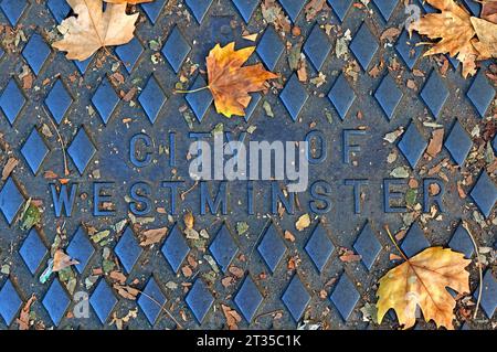 Historisches Gusseisen-geprägtes Gitter mit der Aufschrift City of Westminster, mit Herbstblättern Stockfoto