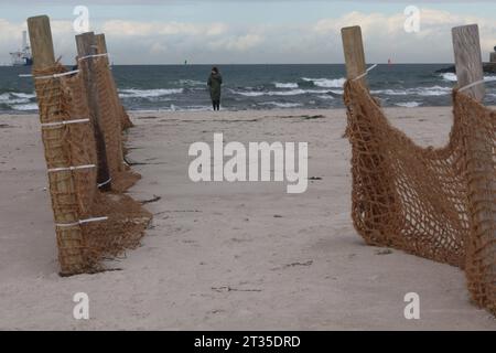 Blick am Montag 23.10.2023 am Strand von Warnemünde auf einem Sandfangzaun. In der Vergangenheit kamen in dem Ostseebad ausschließlich Schutzzäune zum Einsatz deren Geflecht auf Kunststoff Bestand. Nun werden in einem Pilotprojekt Zäune aus Kokosfasern getestet. Damit soll erreicht werden, dass keine Plastikpartikel in die Umwelt entweichen. Denn Mikroplastik spielt beim Meeresschutz weltweit eine immer größere Rolle. So sind auf der Erde bereits jetzt weite Teile der Ozeane durch kleine Plastikpartikel regelrecht verseucht und gelangen durch Fische immer wieder in den Nahrungskreislauf. *** V Stockfoto