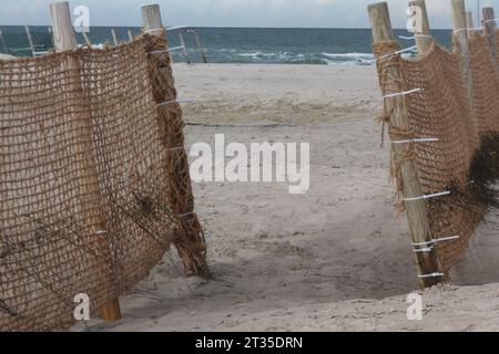 Blick am Montag 23.10.2023 am Strand von Warnemünde auf einem Sandfangzaun. In der Vergangenheit kamen in dem Ostseebad ausschließlich Schutzzäune zum Einsatz deren Geflecht auf Kunststoff Bestand. Nun werden in einem Pilotprojekt Zäune aus Kokosfasern getestet. Damit soll erreicht werden, dass keine Plastikpartikel in die Umwelt entweichen. Denn Mikroplastik spielt beim Meeresschutz weltweit eine immer größere Rolle. So sind auf der Erde bereits jetzt weite Teile der Ozeane durch kleine Plastikpartikel regelrecht verseucht und gelangen durch Fische immer wieder in den Nahrungskreislauf. *** V Stockfoto