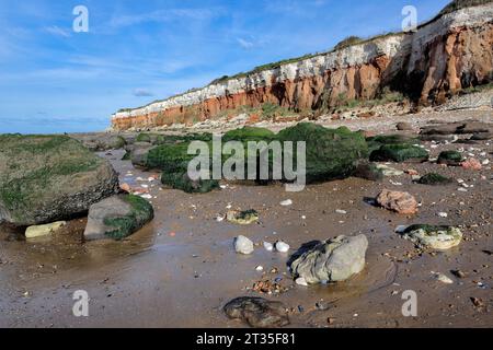 Rot-weiß gestreifte Klippen (Karstein und Kreide) in hunstanton, norfolk Stockfoto