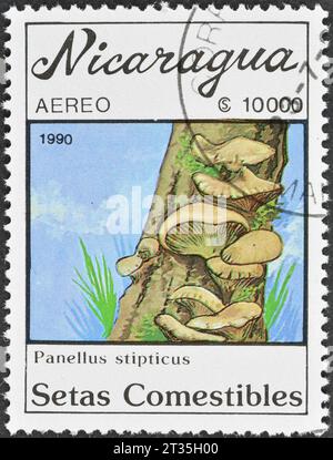 Gestempelte Briefmarke von Nicaragua, die Panellus stipticus Pilz - Bitter Oyster zeigt, um 1990. Stockfoto