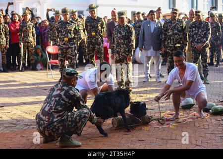 Maha-Nawami-Feier in Nepal GRAFISCHE WARNUNG *** Personnel der Nepal-Armee umrunden einen geopferten HE-Büffel auf dem offenen Platz des Kathmandu-Durbar-Platzes am Tag des Maha-Nawami, dem neunten Tag des vierzehntägigen Dashain-Festivals in Nepal. Auf Maha Nawami werden Ziegen, Enten, Hähne und Büffel in verschiedenen Tempeln geopfert, die den Göttinnen gewidmet sind. Diejenigen, die nicht die Tradition haben, Tiere oder Vögel zu opfern, opfern der Göttin Obst und Gemüse. Kathmandu Bagmati Nepal Copyright: XSubashxShresthax Credit: Imago/Alamy Live News Stockfoto